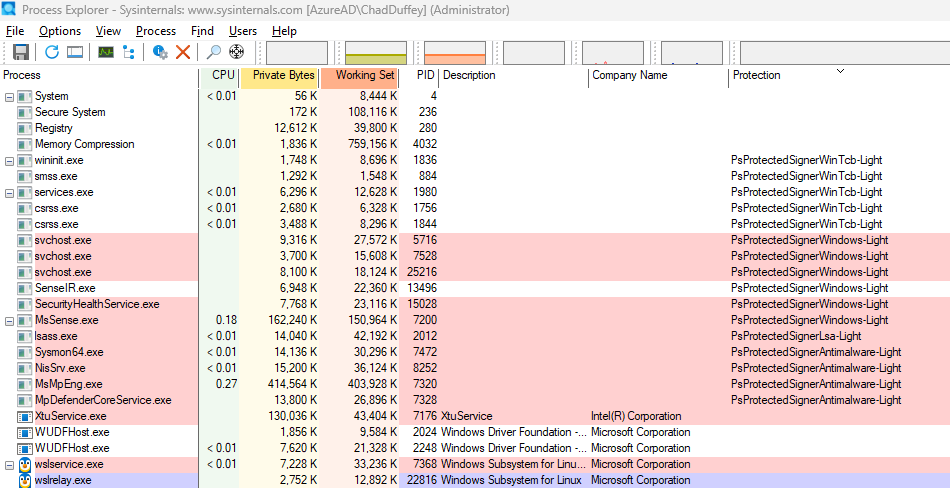 Process Explorer protection levels view