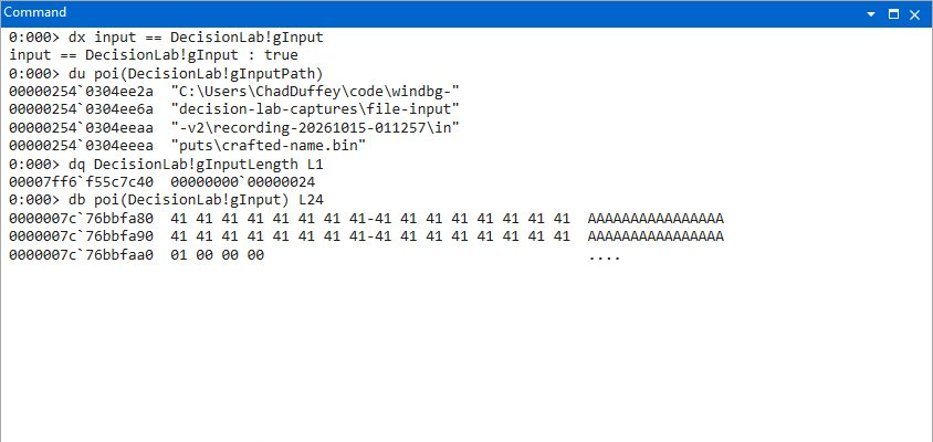 The copy input matches the loaded buffer and WinDbg displays the file path and bytes