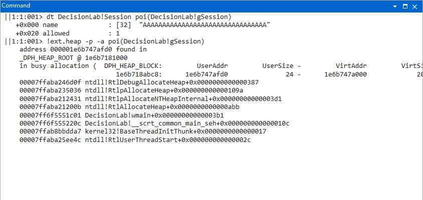 PageHeap reports a 36-byte session allocation while the member is already overwritten